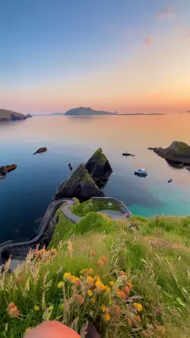 Meu lugar favorito 💚☘️🇮🇪 #intercambio #travel #brasileirospelomundo #brasileirosnaeuropa #irlanda #irlanda🇨🇮💚 #ireland #tiktokviral #nature #naturevibes 