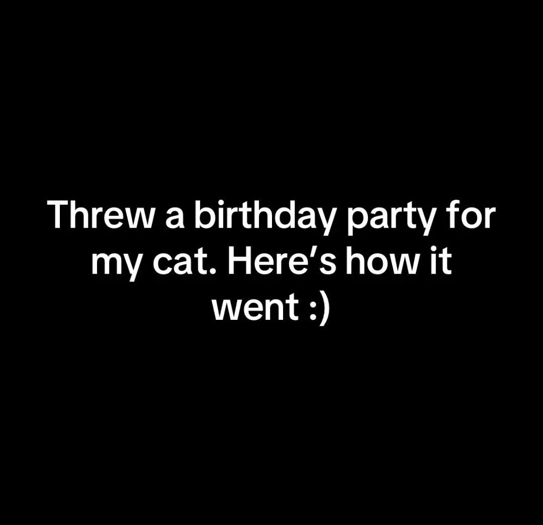 My Roma turned 8 yesterday ♥️♥️ we threw a party to celebrate #catsoftiktok #catmom #catparty #catbirthday 