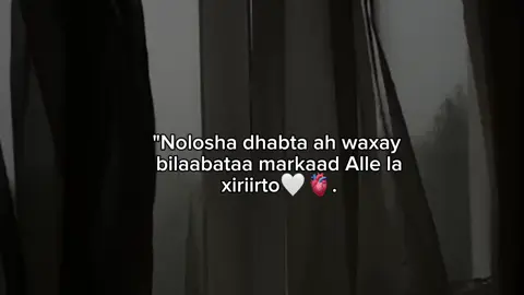 #🤍🌷 #huda #apdirahman #😍❤️ #hutha #viewsproblem😭 #fyp #fypシ゚ #somalitiktok #🤍🌷 
