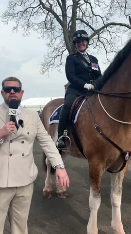 When Grado meets the police horses🐎💙🚨 #csgn #theraces #ayrraces #ayrracecourse #ladiesday #fyp #raceday 