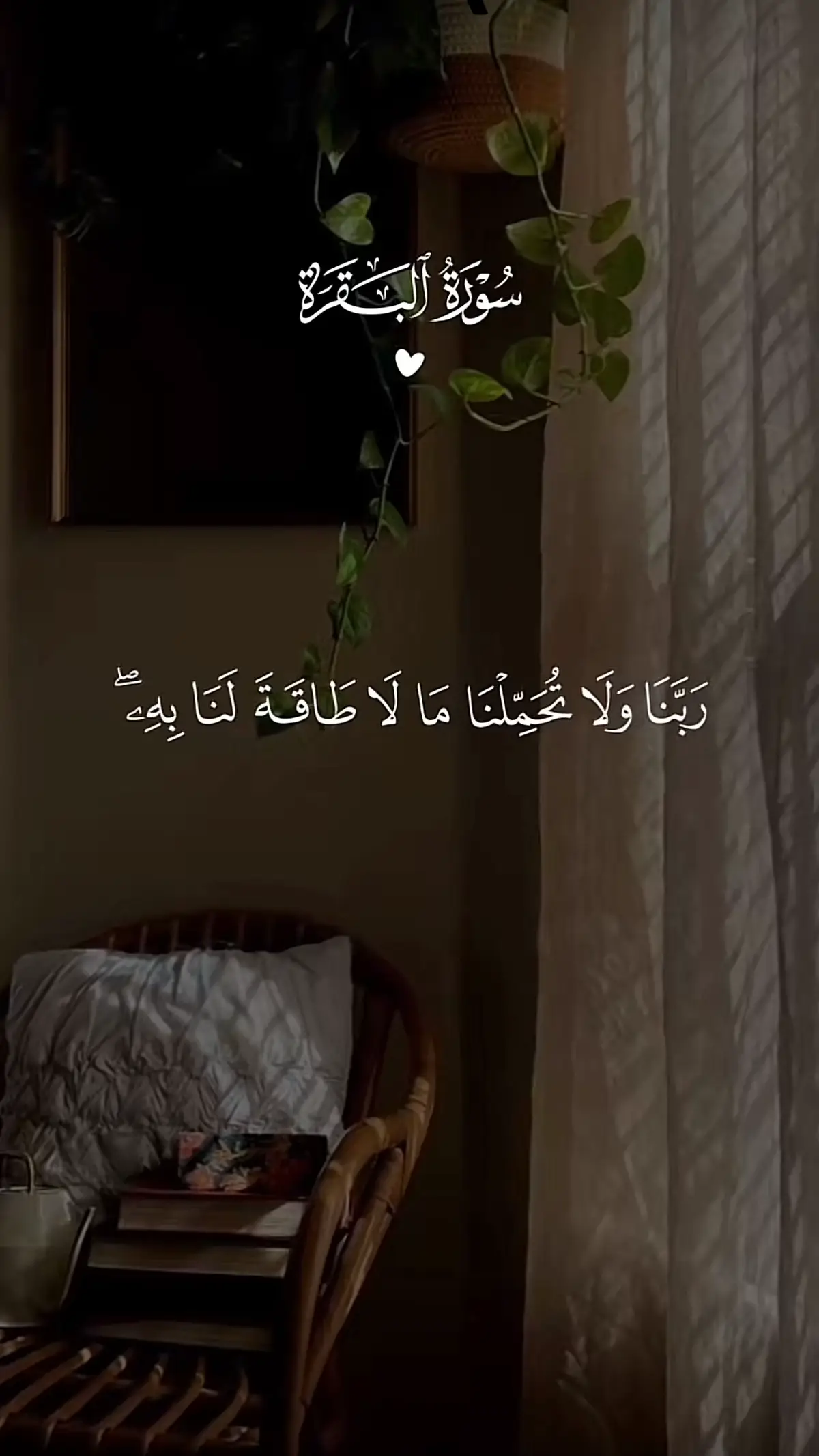 سعد الغامدي مؤثر جدا#سورة_البقرة #اللهم_امين_يارب_العالمين #ألابذكر_الله_تطمئن_القلوب #دعاء_يريح_القلوب_ويطمئن_النفوس 