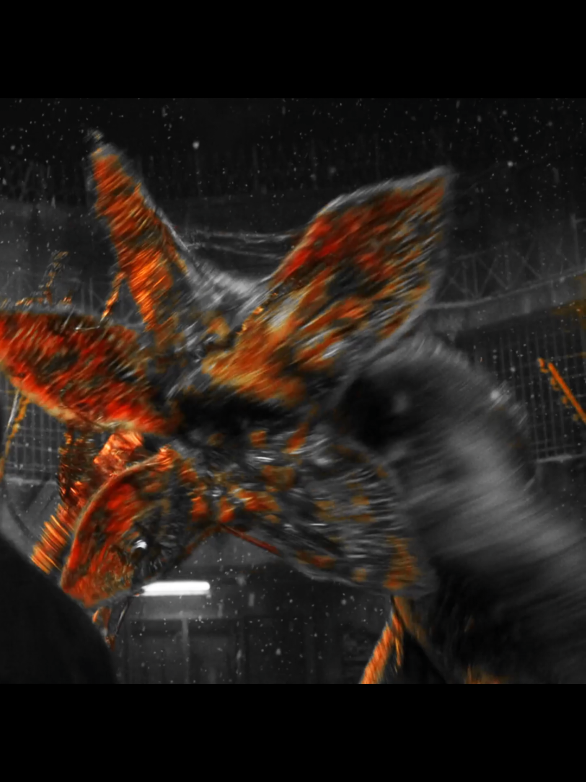 Demogorgon con Lo mejor para el final 🔥 #dbdkiller #deadbydaylight #dbdedit #deadbydaylightedits #dbdfypシ #dbdtiktok #deadbydaylightfyp #dbddemogorgon #strangerthings #strangerthingsedit 