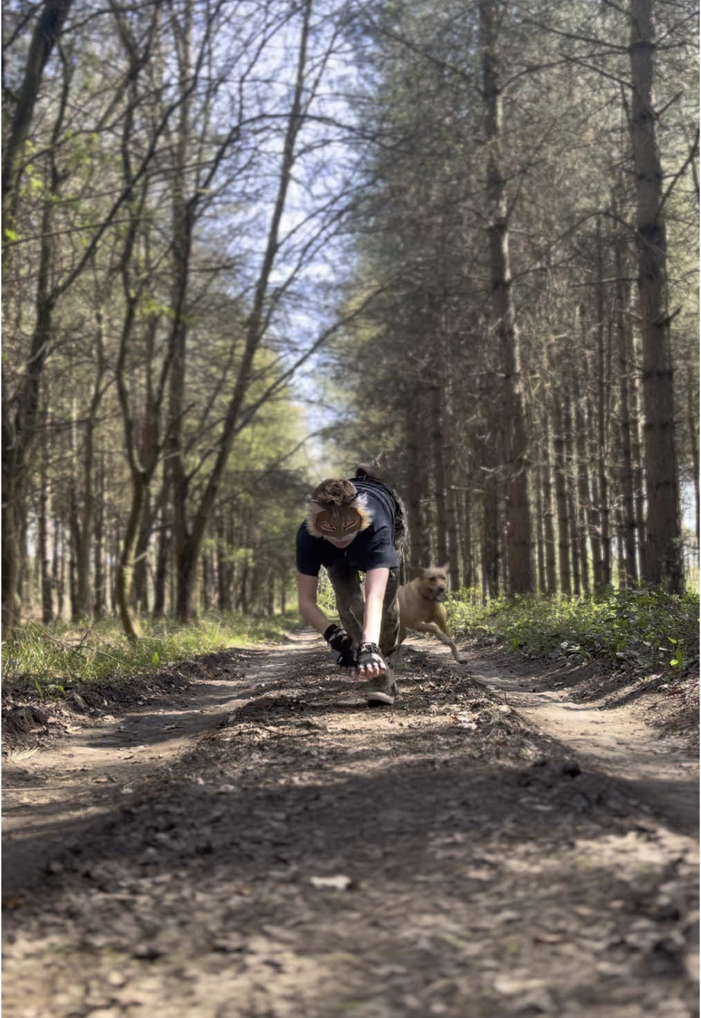 sunny afternoon in the forest☀️🌲🐾🪶it’s been so warm over these past few days it’s felt like summer again :D #quadrobics #alterhuman #therian #lynxtherian #therianthropy #xyzabc #fyp #fyppp 