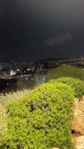 #טיילת_תל_אביב #יפו_עיר_הפשע🔝🔥 