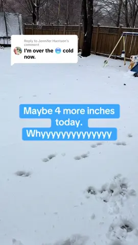Replying to @Jennifer Harrison #snow #newengland #massachusetts #weather #april #aprilsnow 