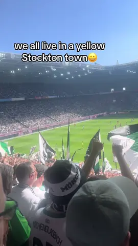 in a town where i was born👌 #borocentral_ #CapCut #fyp #bundesliga #viral #ultras #footballedit #teesside 