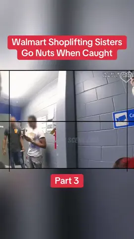 Walmart Shoplifting Sisters Go Nuts When Caught Part 3  #cops #copsoftiktok #police #policeofficer #bodycam #crime #truecrime #truestory #foryou #fyp