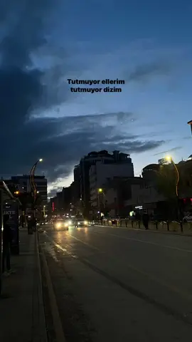 🖤 #azerbülbül #elazığ #keşfet 