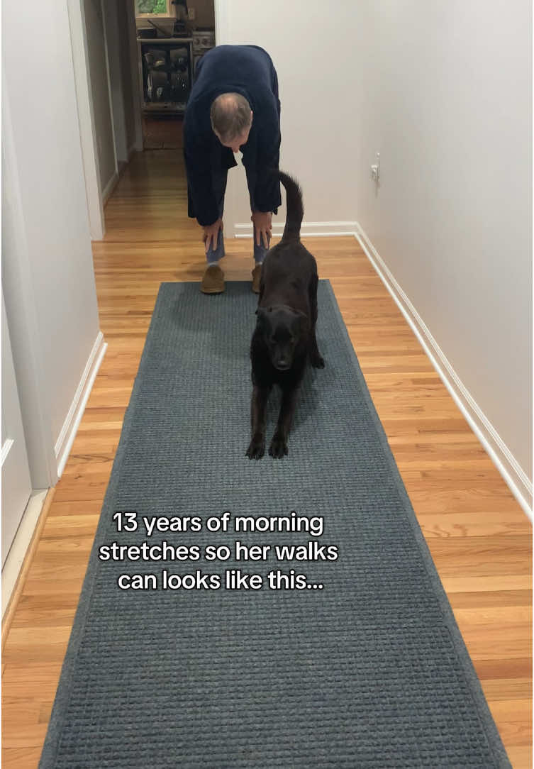 Morning yoga, getting ready for walks! #dogsoftiktok#fyp#rescue 