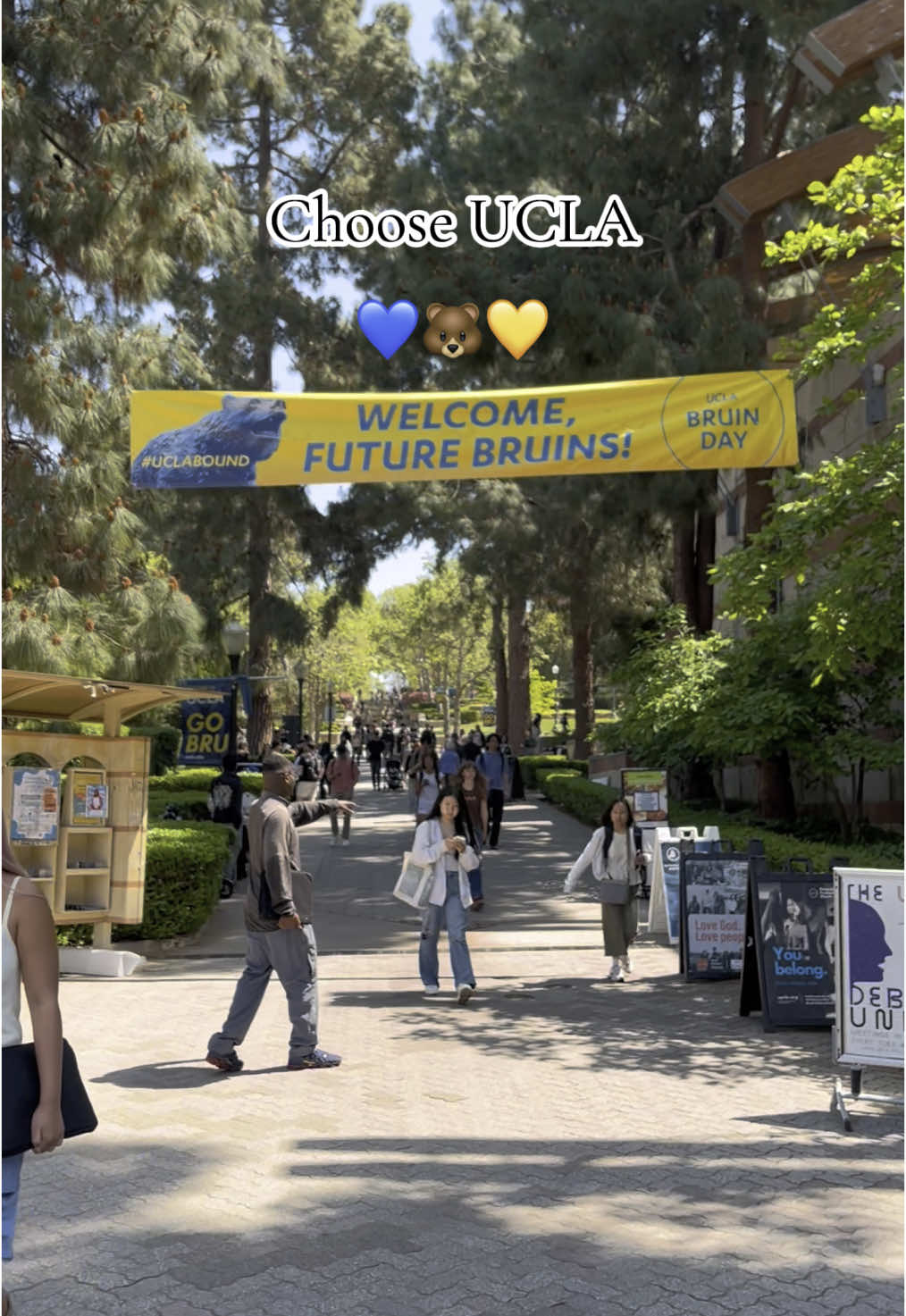 You won’t regret it!!! #ucla #bruinday #bruins #uclabruins #uclabound #university #universitylife #losangeles #college #collegelife #collegedecision #collegeadmissions #2025 #viral #fyp #viralvideo #fypシ 