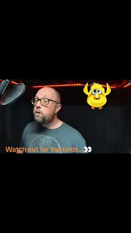 Happy Saturday All, 🌟BEHIND THE SCENES LOOK🌟 Here's another Fun clip from my current audiobook project.  🛑 Watch out for the 