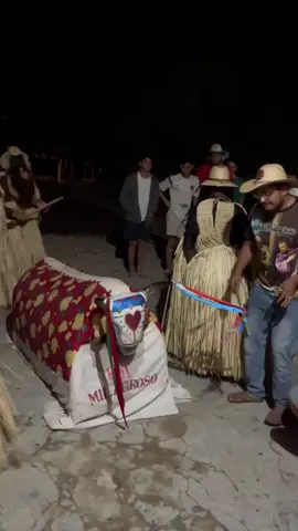 #reisado_boa_hora_piauí #reizado #festadereis #reisado #piaui #tradicao #nordeste #brasil 