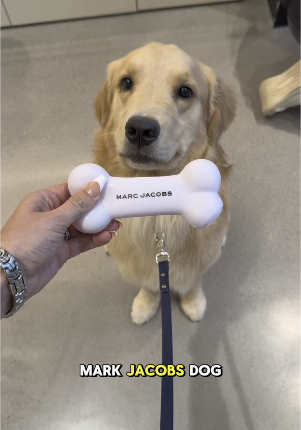 Take my money!!!! This was so insanely fun and worth every cent ❤️ IB: @JULIA PAIGE  #marcjacobs #shopping #dogsoftiktok #goldenrretriever #puppy #fashion #soflo #dogs #dog @marcjacobs 
