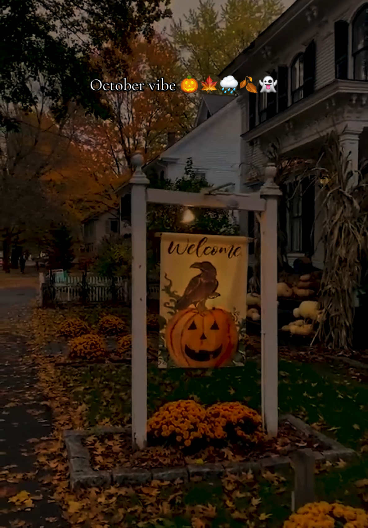 #autumn #october #autumn #vibe #fall #pumpkinseason #autumncountdown #itsautumntiktok #fallaesthetic #spookyseason #spookytreats #halloweenishere #halloween #scarystories #fyp #fypageシ 