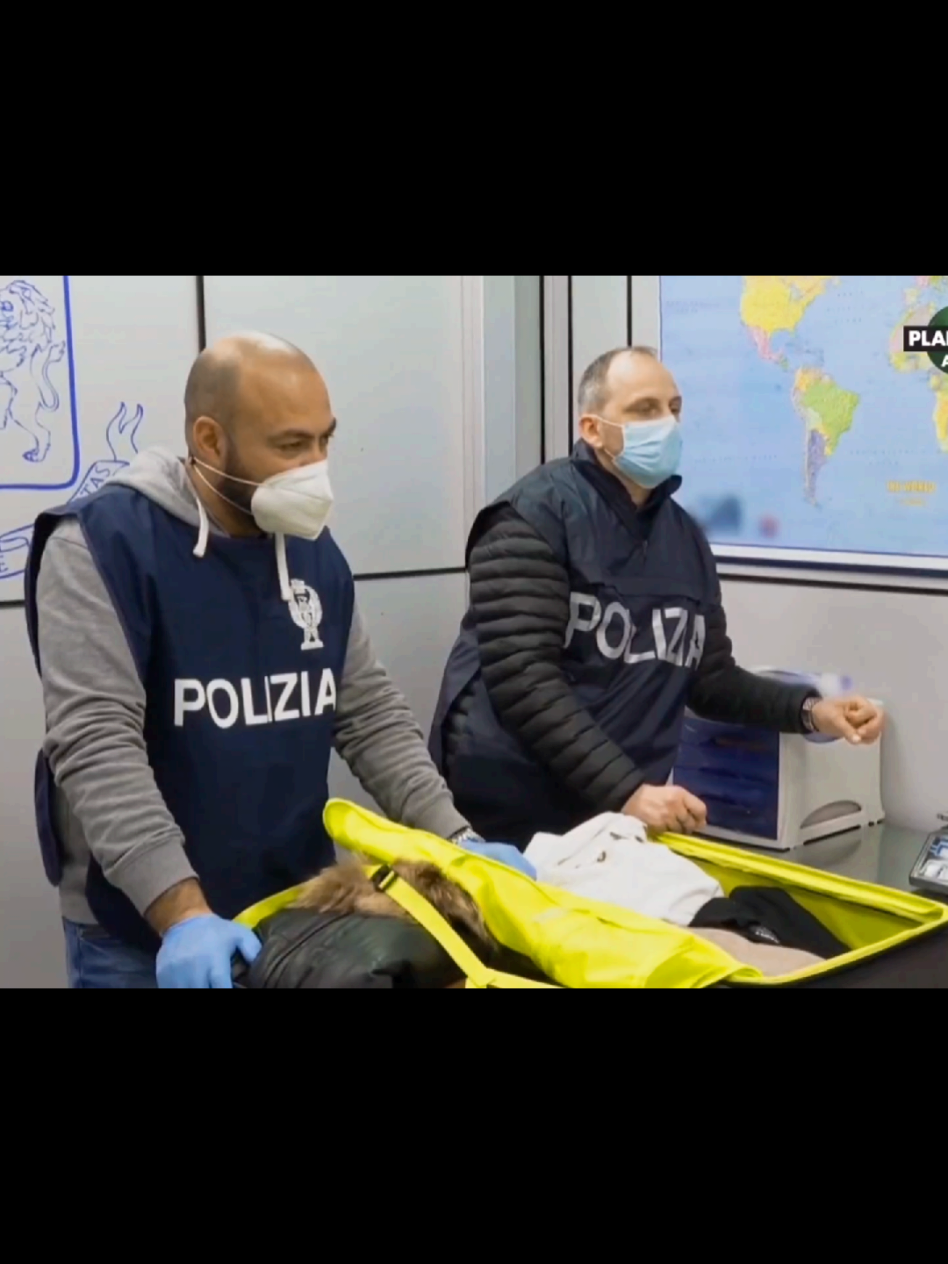 contrôle douanier sous haute surveillance  #poirtoi #reportage #documentaire 