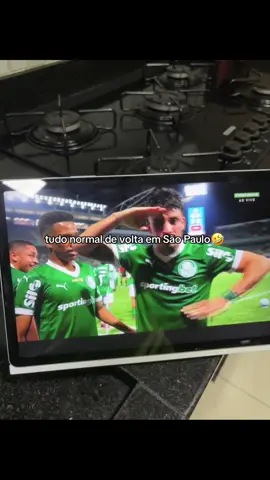 volto tudo ao normal🙏🏼 #palmeiras #fyyyyyyyyyyyyyyyy #fyp #fypp #foryoupage 