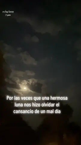 #rammstein#stirbnichtvormirrammstein🖤#frasesvirales 