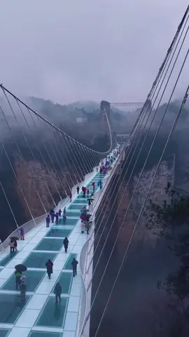 Zhangjiajie Grand Canyon Glass Bridge#china #travel #travelchina #zhangjiajie #travelingabroad 