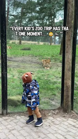 “Every kid’s zoo trip has that one moment… 😳🦍”#tiktok #funny #pet #animal 