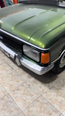 Actualizaciones de los proyectos! #f100 #puntadediamante💎 #fordf100 #ford #falcon #fordfalcon 