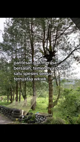 udahh ma disembunyiin didukung lagii,kacauu😫 #justforfun #masukberanda #fyp #fypage #xybca #4u #fypforyou #perselingkuhan #oranglain 