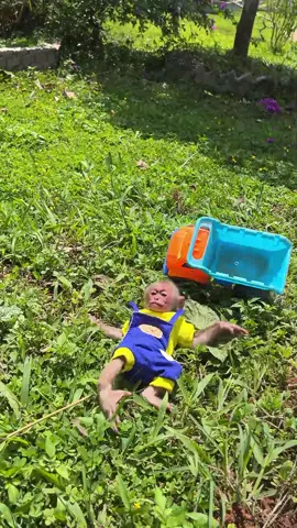 Khỉ con Moon thích chơi xe tải đồ chơi. #monkey #babymonkey #khi #conkhi #thucung #pet #monkeysoftiktok #xuhuong 