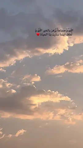 #صباح_الورد #مناظر_طبيعيه_رائعة #شروق_الشمس #دعاء_الصباح 