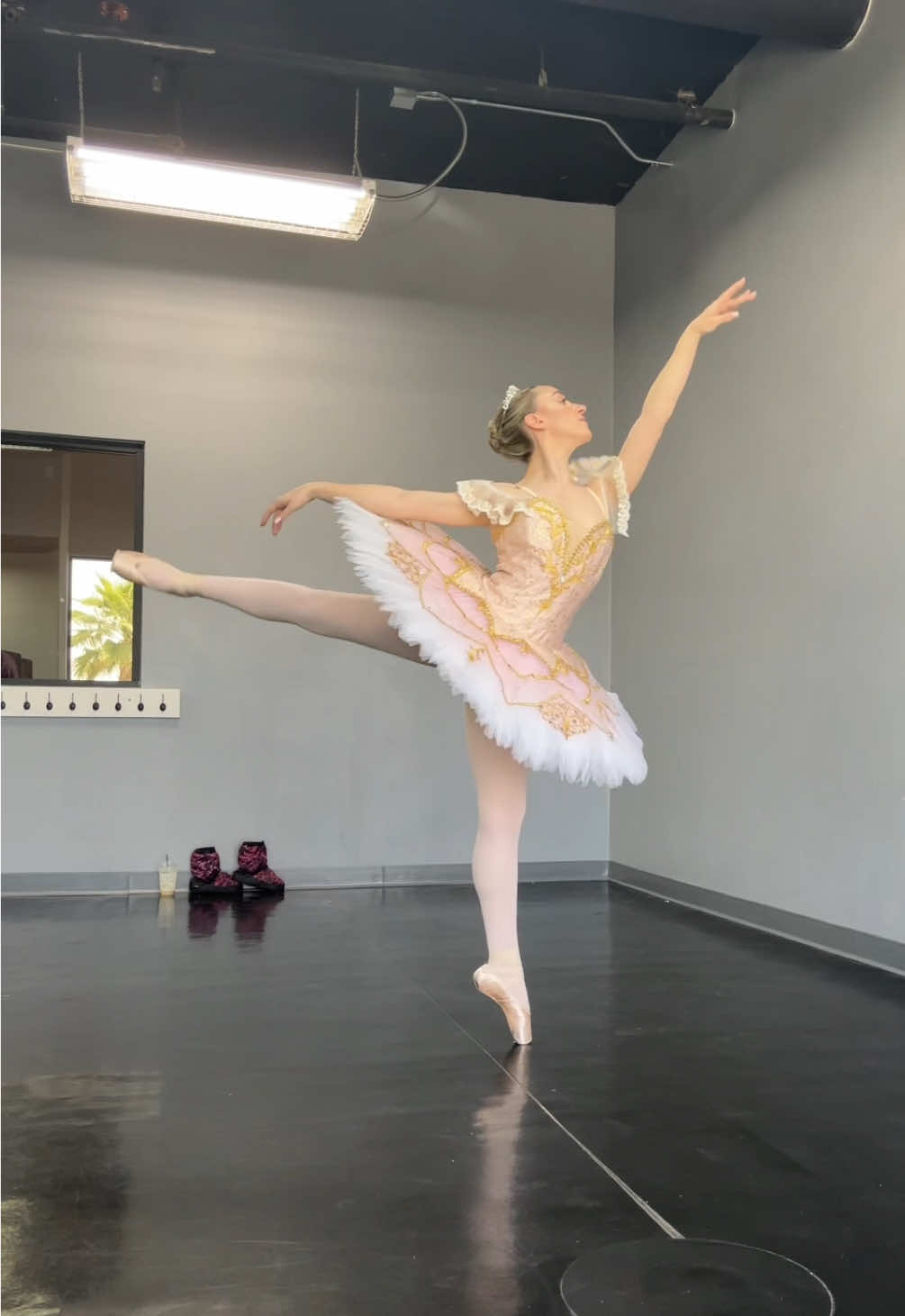 Sleeping Beauty photoshoot day!🩰✨ @On Pointe Dance  #ballet #ballerina #aurora #princess #sleepingbeauty 