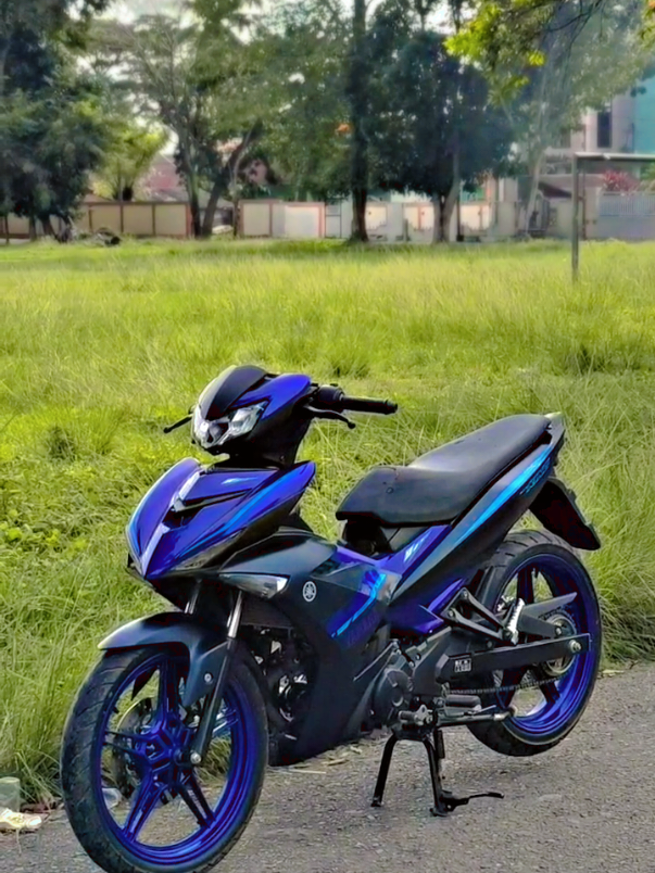 std suka