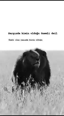 #fypシ゚ #fyppp #dahafazlasen #AntalyaTurkey #tiktoknews 