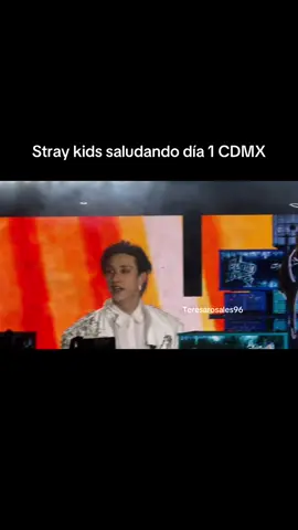 #youmakestraykidsstay #skz #straykids #skzinmexico #stay #StrayKids 