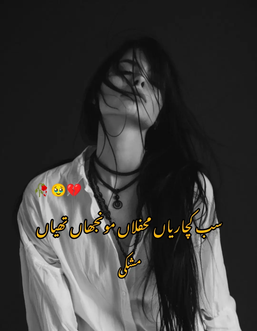 سب کچاریاں محفلاں مونجھاں تھیاں #سرائیکی #sraikisong #slowreverb #statusvdeio #foryou #foryoupage #plraseunfreezemytiktokaccou #abdulghaniahmadani #مشکی 