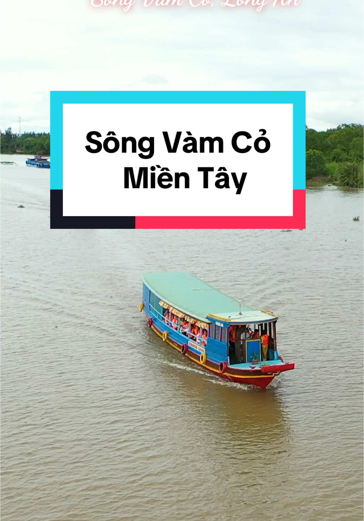 Sông Vàm Cỏ, miền Tây, Việt Nam 🇻🇳 #longan #mientay #vietnam #vietnamstories #travel