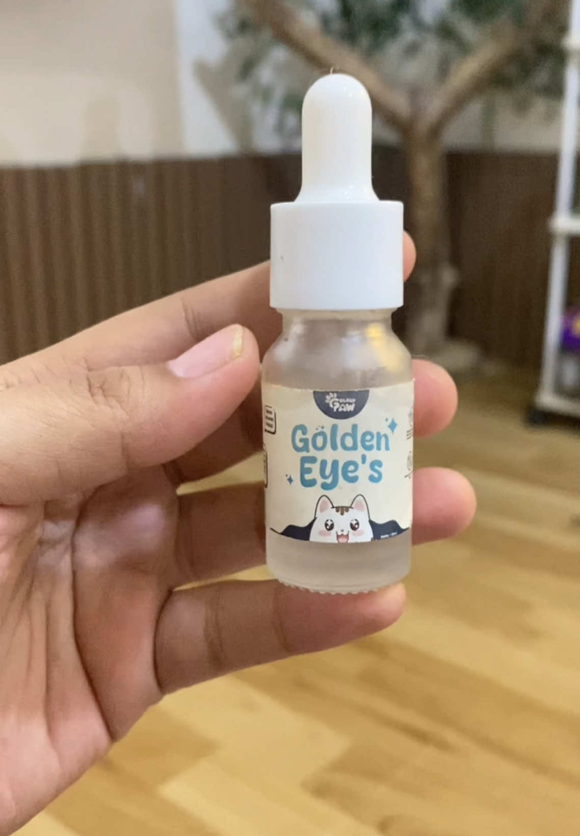Jangan biarkan mata kucingmu kering atau infeksi! Dengan Golden Eye’s, mata anabul jadi lembab, cerah, dan sehat. Cobain deh, kucingmu pasti bakal seneng banget! 💧✨ #FluFreeWithFluGuard #GoldenEyes #MataSehatKucing #HealthyCatEyes #CatLovers #FYP #FYPシ #ViralPets #CatCare #PetHealth #CaringForCats #fypindonesia 