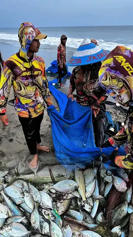Hallo Kita Kembali Lagi #edikhannn #gengtiktok 