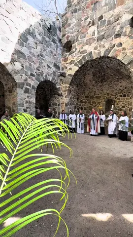 Palm Sunday in Sigtuna, Sweden🌴