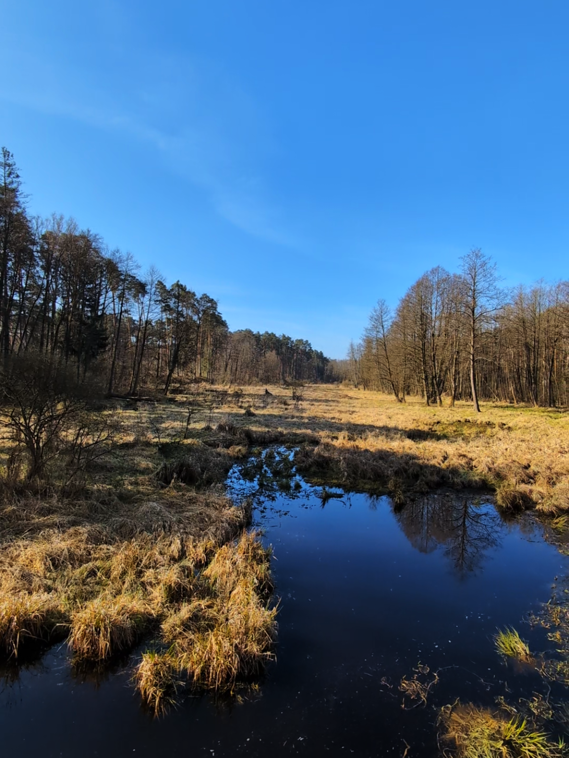bro, i know a spot. #naturalscenery #scenicviews #peacefulnature #relaxingvibes #cyclinglife #bikelife #cycling #gravel #nature #fyp #foryoupages #dji #action #minipro 