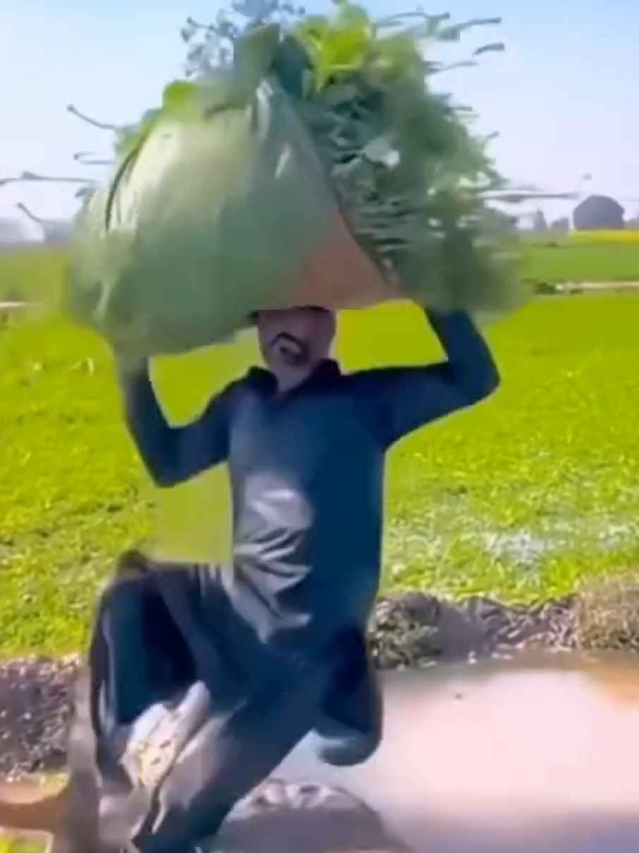 terjatuh🤣#funnymemes #tiktokketawa #fypシ゚ 