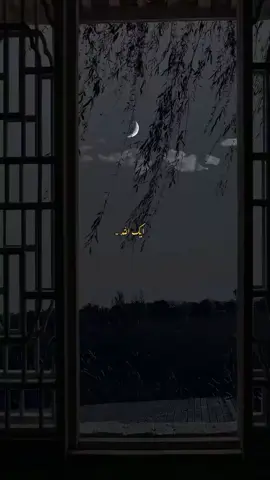 mojhe Tum se mohobat hai #poittry #videoviral #videoviral 