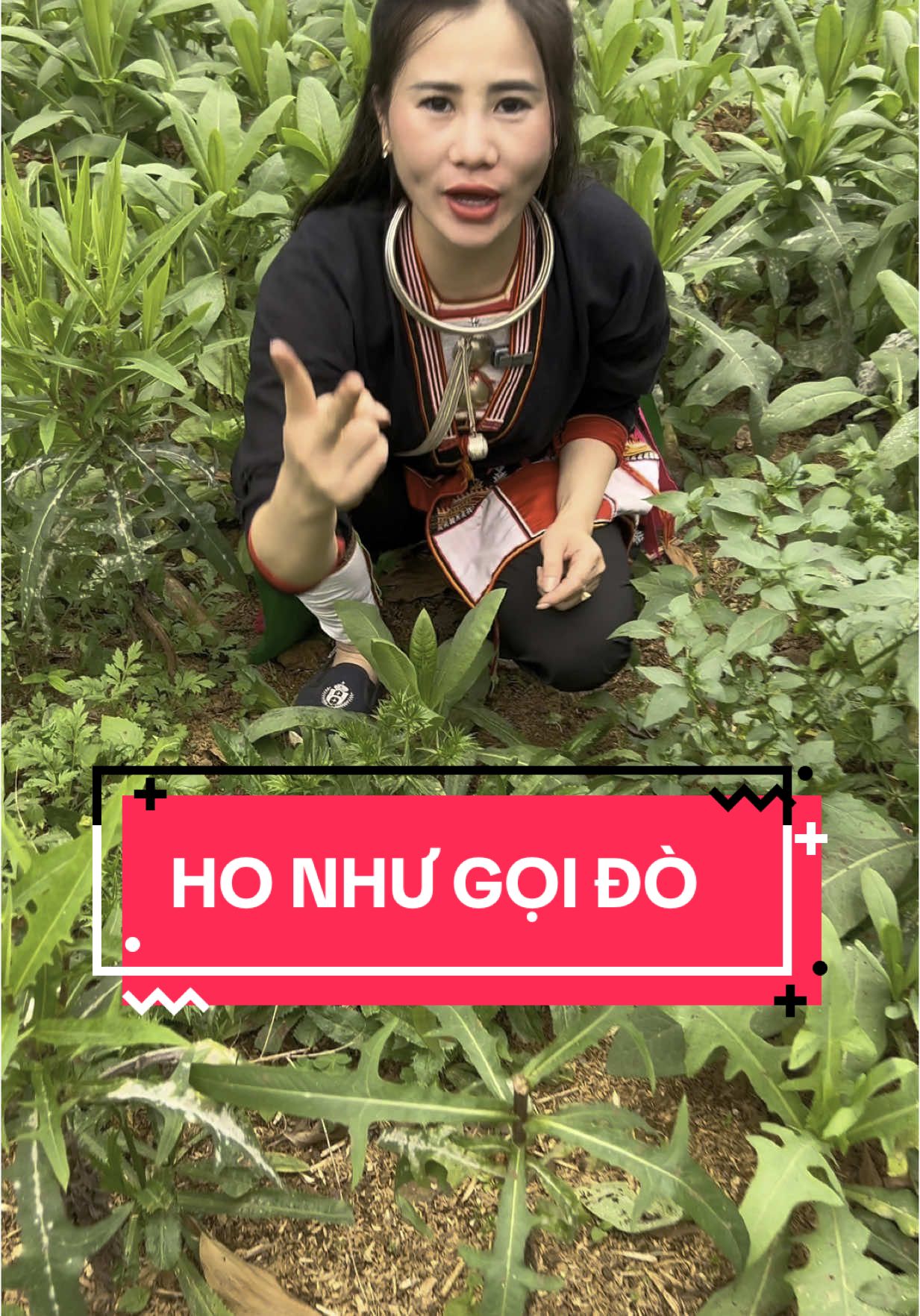 Ho Như Gọi Đò #thuocnambandao 