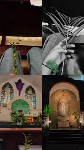 Palm Sunday🌿#