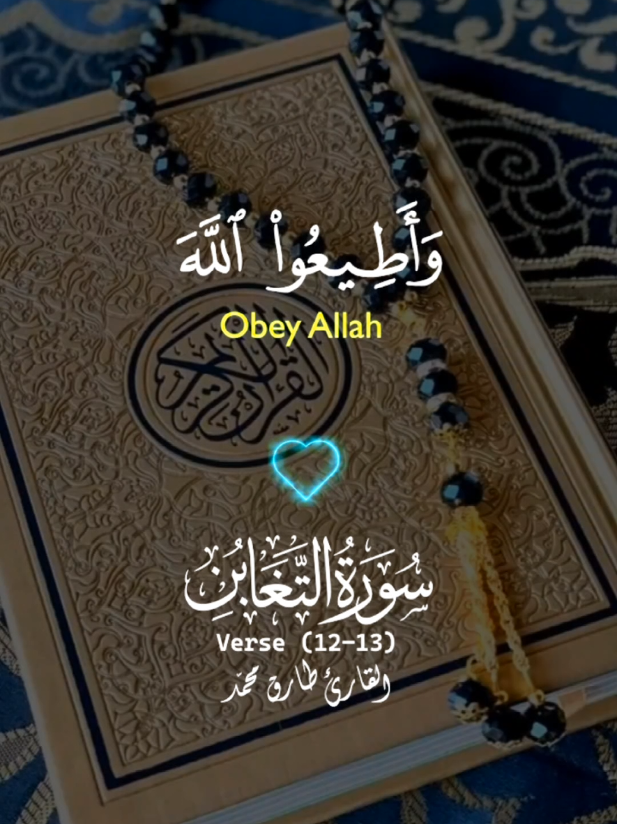 Quran Recitation in beautiful voice #quran #quran_alkarim #quranrecitation #quranmajeed #tilawatilquran #foryoupage #fyp #CapCut 