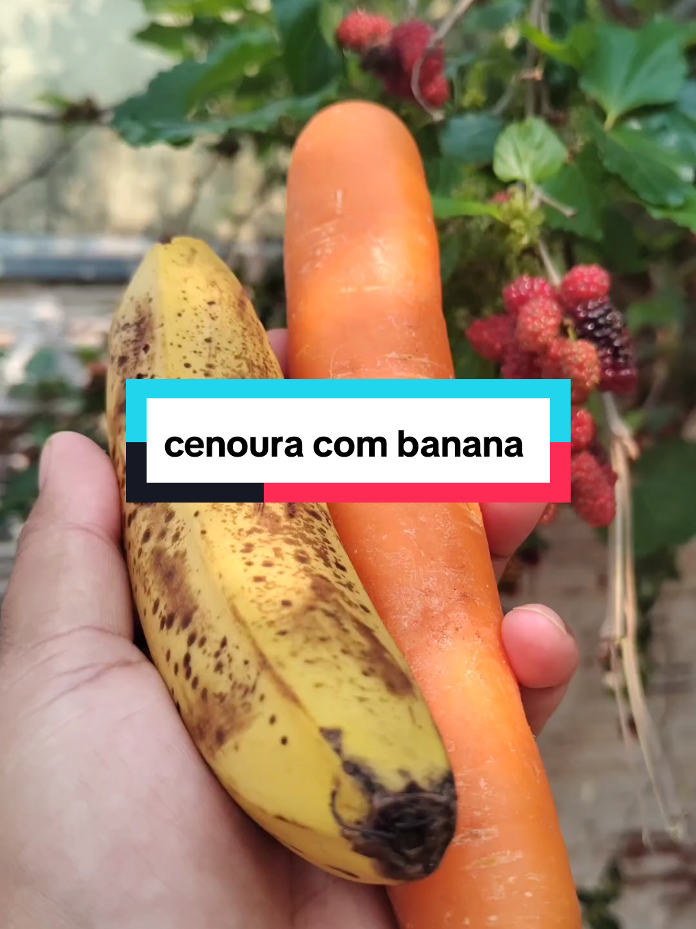 #plantamedicinal #remediocaseiro #cenoura #banana 