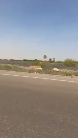 راعي مزاج ✌️
