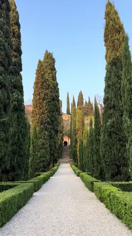 In the heart of Verona, Giardino Giusti embodies the spirit of Renaissance humanism. Created in the late 16th century, its harmonious design reflects the classical ideals of beauty, order and contemplation. A place that inspired Goethe and echoes with centuries of art. #Verona #Art 