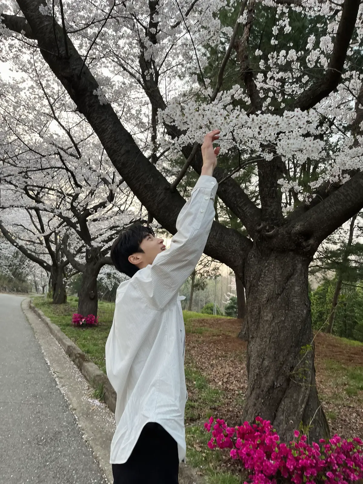 #byeonwooseok #변우석 