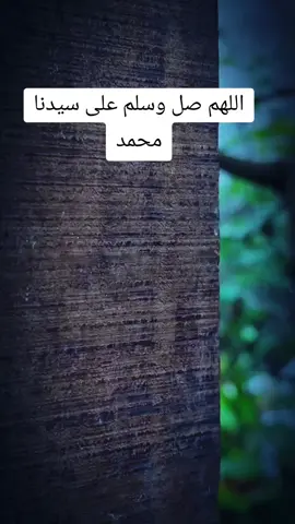 #fyp #اكسبلور #قصة #عبرة 