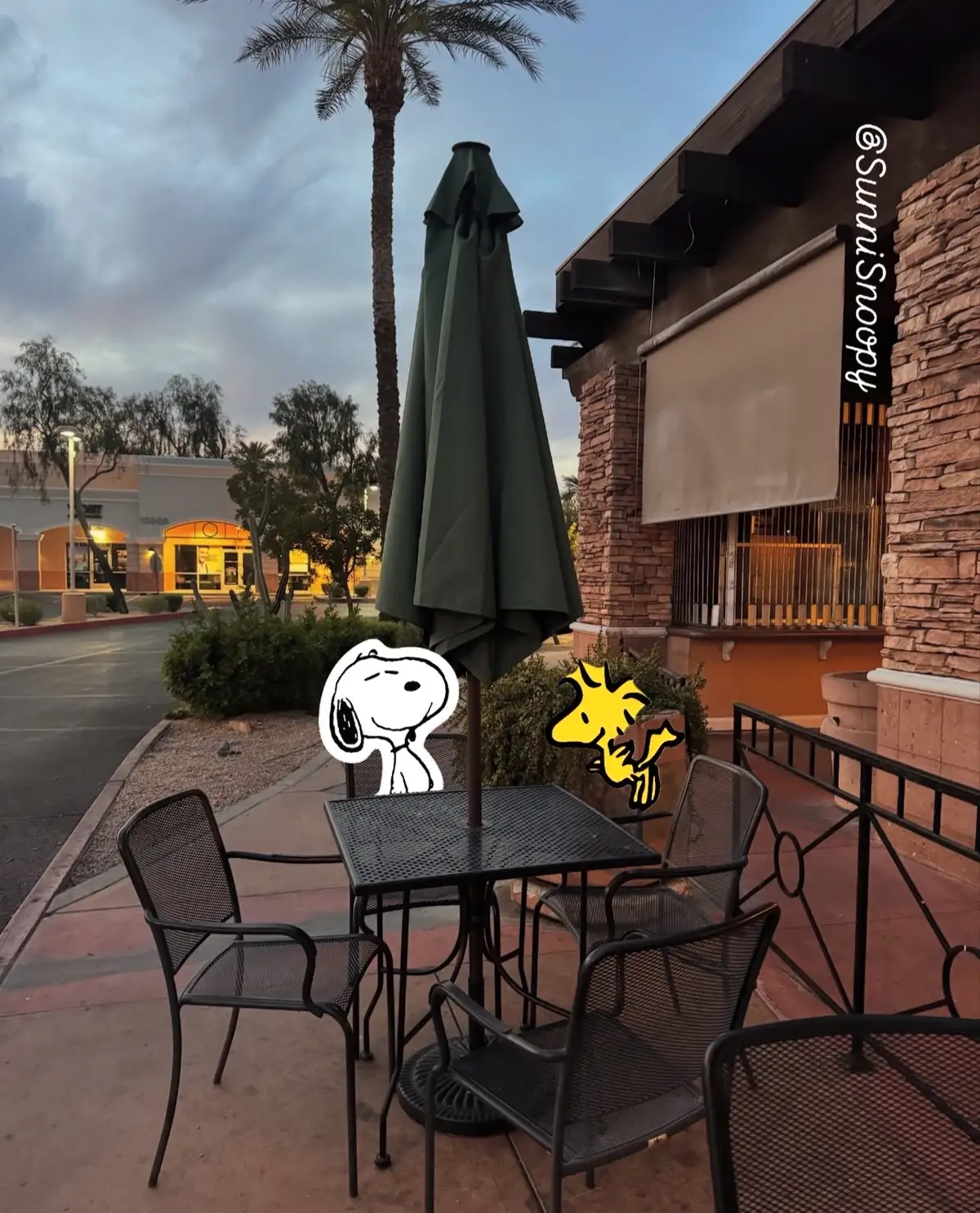 Snoopy and Woodstock night out at Scottsdale Arizona  #snoopy #snoopyandwoodstock #trend #trending #arizonasky #scottsdale #bestfriend #nightout #peanuts #esnupi #スヌーピー #スヌーピー好き #스누피 #fyp