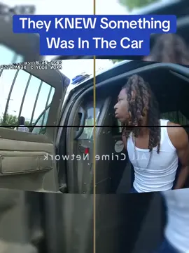 They KNEW Something Was In The Car #policeofficer #police #copsoftiktok #cops 