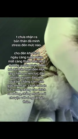 😌😌#xh 